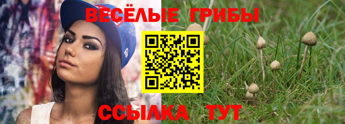 Тихвин  Галлюциногенные грибы Cubensis  Вход с VPN 